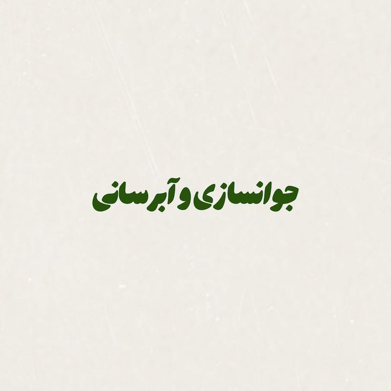 جوانسازی و آبرسانی