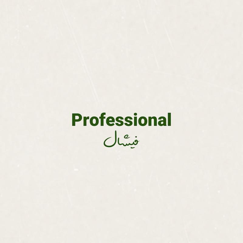فیشال پروفشنال