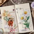 پک گل مقوایی طلاکوب