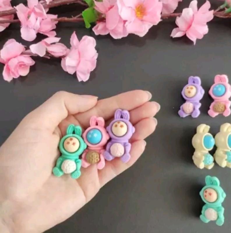 پاکن خرگوش فضانورد