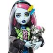 عروسک مانسترهای برند متل آمریکا موجود در ایران، Mattel Monster High Frankie SteinHXH73