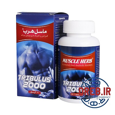 کپسول تریبولوس ماسل هرب بهتا دارو افزایش هورمون های مردانه ۶۰ عدد - Behta Daru Muscle Herb ۶۰ caps