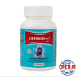 کپسول لیورکینگ بی دی آ بهتا دارو ۳۰ عدد _ Behta Darou Liverking BDA ۳۰ Capsules