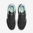Pegasus 41