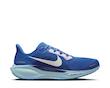 Air Zoom Pegasus 41 CM Racer Blue