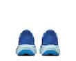 Air Zoom Pegasus 41 CM Racer Blue