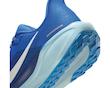 Air Zoom Pegasus 41 CM Racer Blue