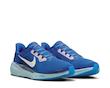 Air Zoom Pegasus 41 CM Racer Blue