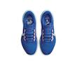 Air Zoom Pegasus 41 CM Racer Blue