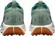 React Pegasus Trail 5 Gore-Tex