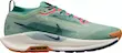 React Pegasus Trail 5 Gore-Tex