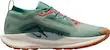 React Pegasus Trail 5 Gore-Tex