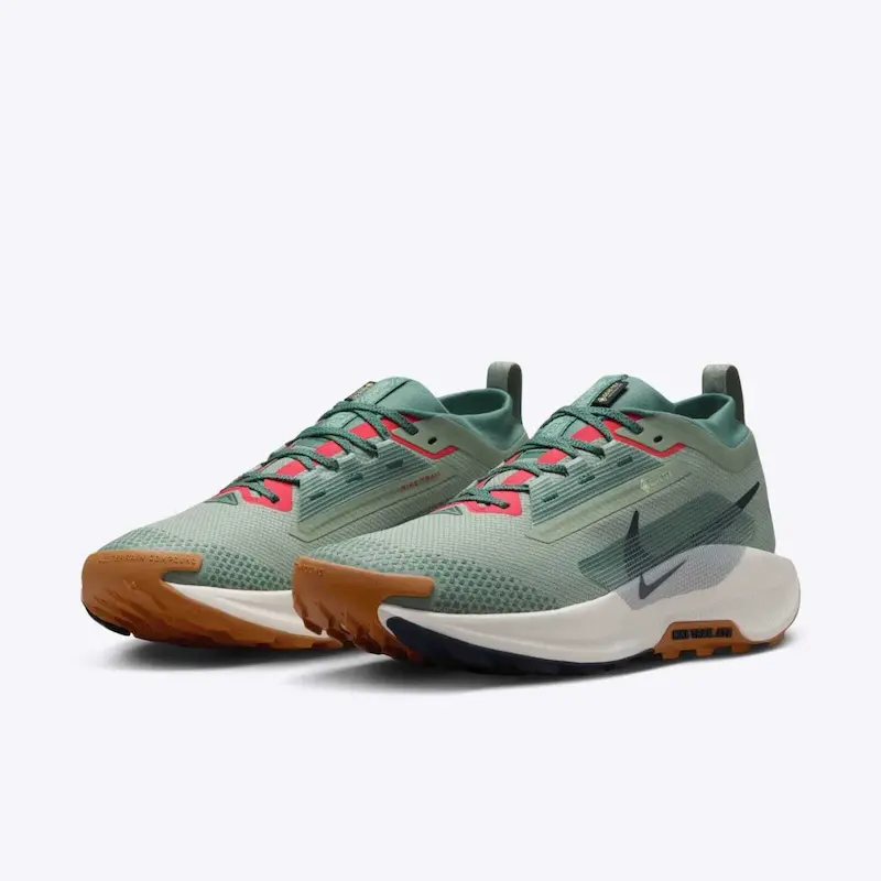 React Pegasus Trail 5 Gore-Tex