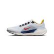 NIKE AIR ZOOM PEGASUS 41