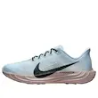  Nike Pegasus Plus
