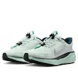 Nike Air Zoom Pegasus 41