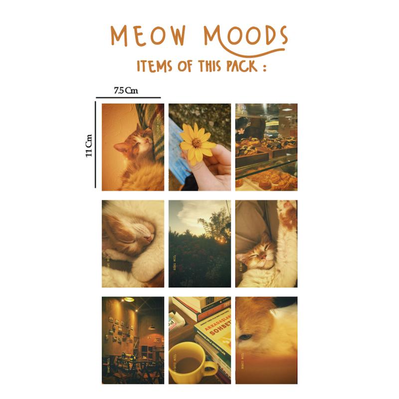 پک مینی پوستر Meow Moods 