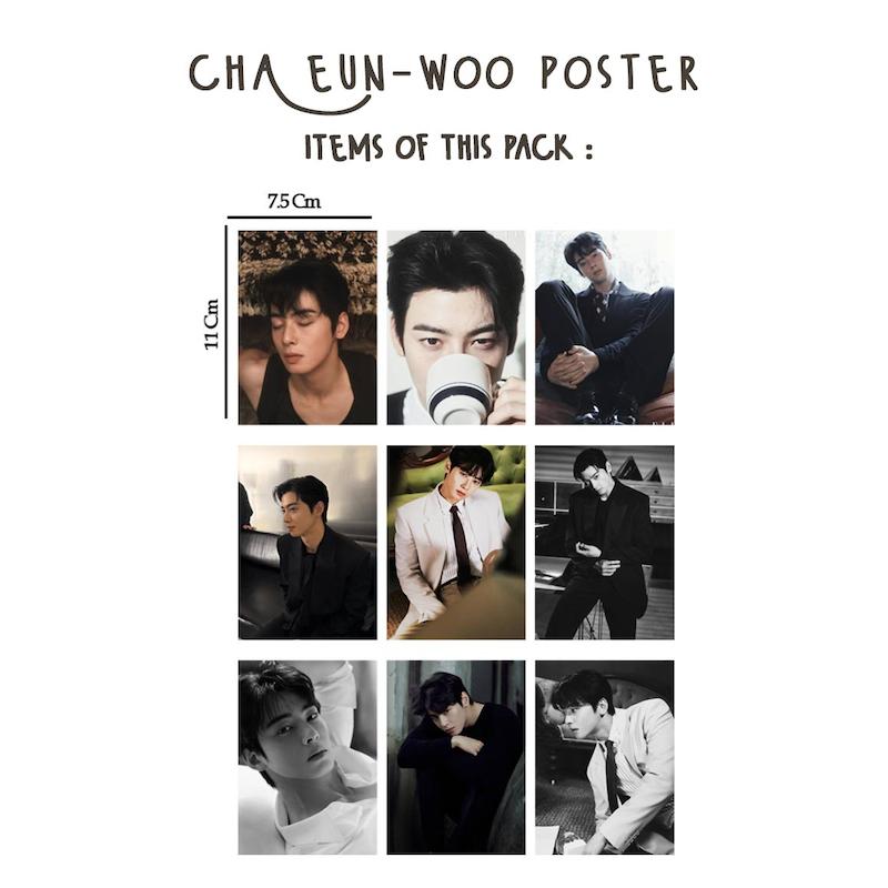 پک مینی پوستر Cha Eun woo / چا اون وو کیدراما