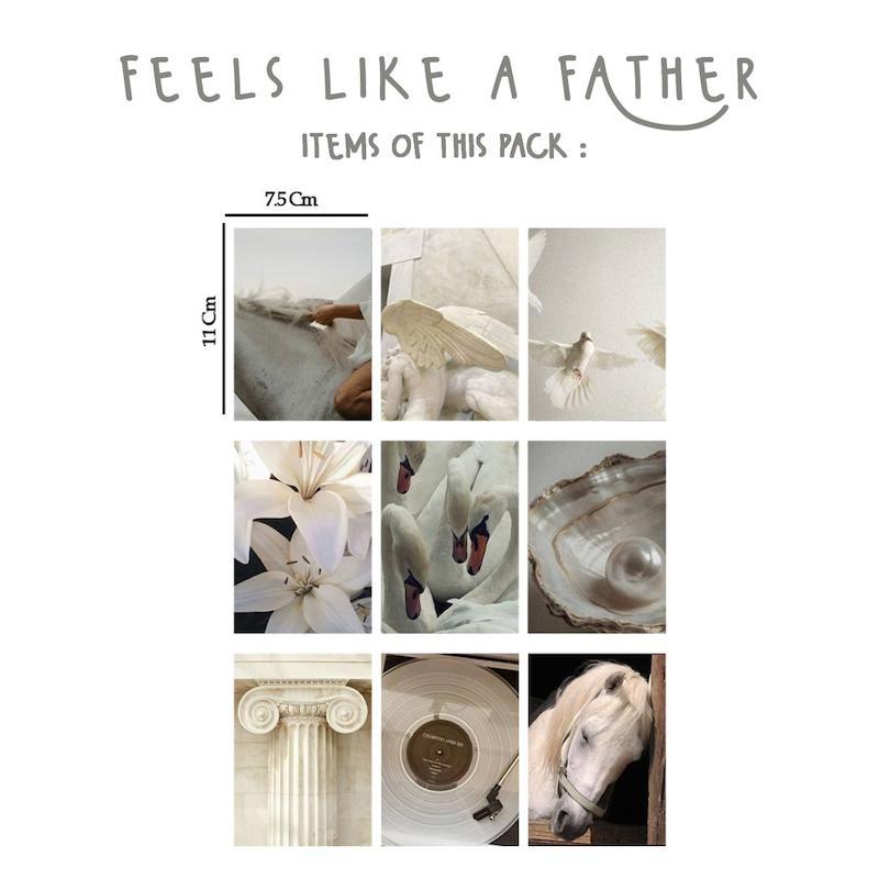 پک مینی پوستر Feels Like a Father / سبک بال همچو پر