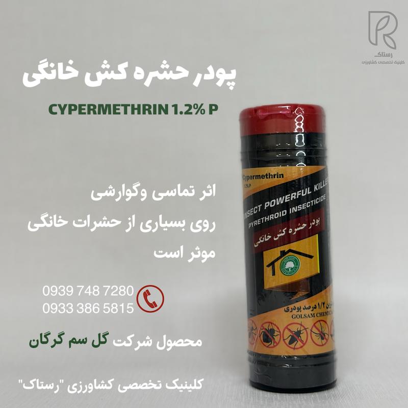 پودر حشره کش خانگی 100 گرمی