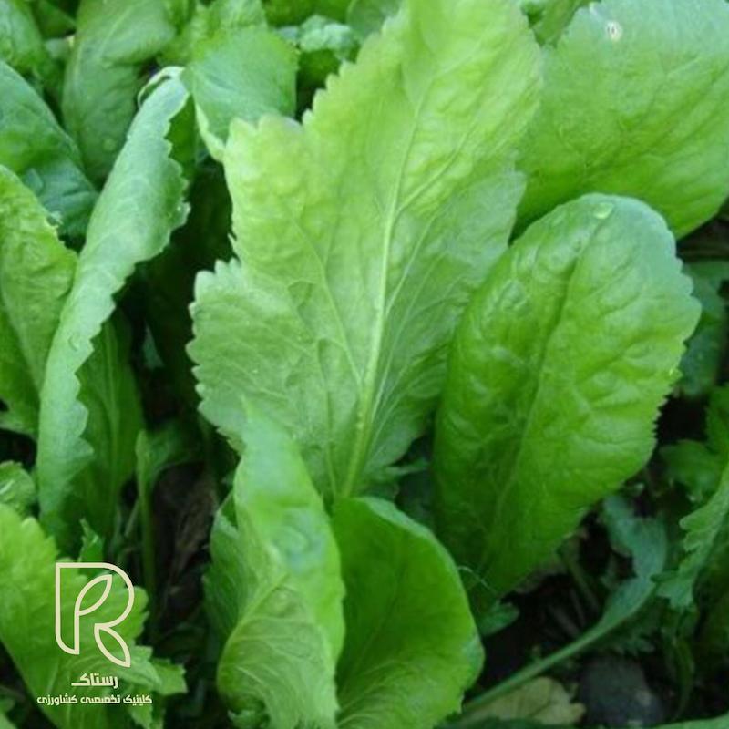 بذر شاهی برگ 20گرمی