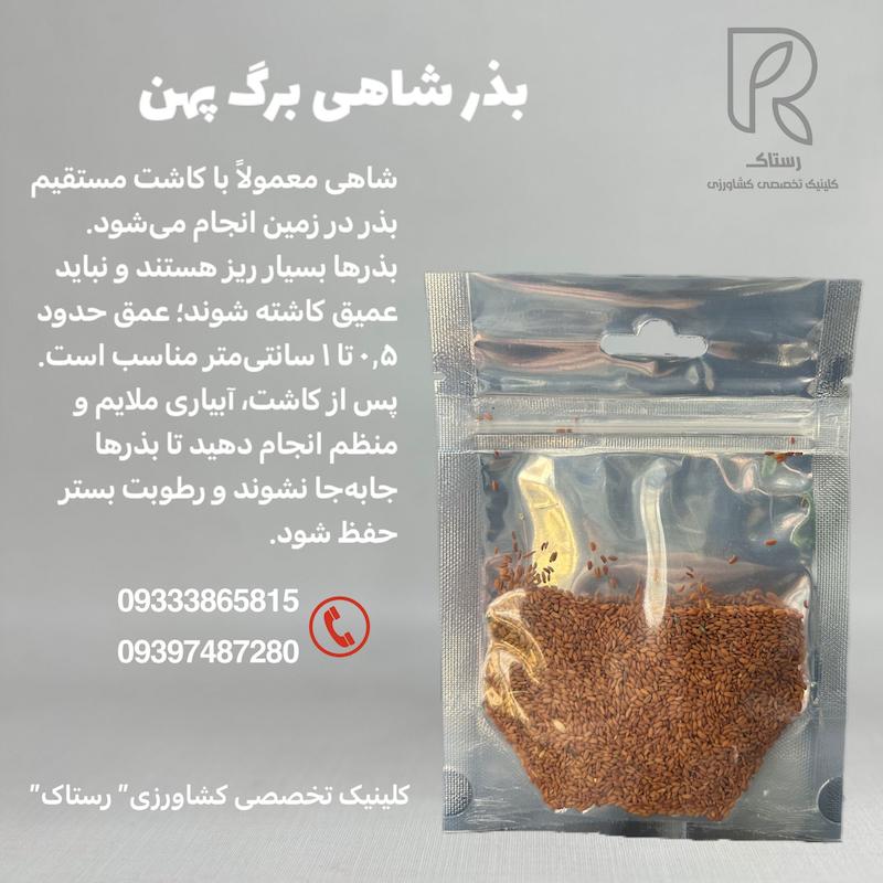 بذر شاهی برگ 20گرمی