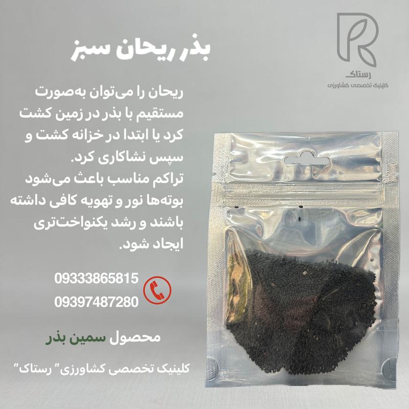 بذر ریحان سبز 20گرمی