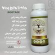 ریشه زا روتیج‌ پرینوا مکزیک 1 لیتری