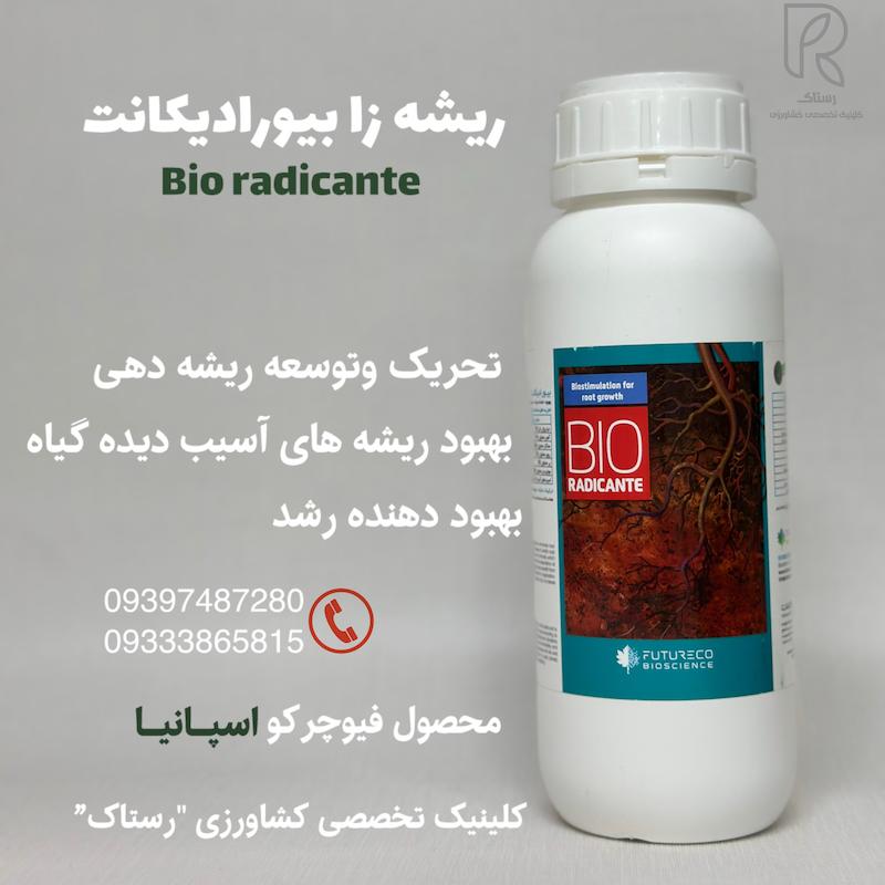 ریشه زا بیورادیکانت فیوچرکو اسپانیا