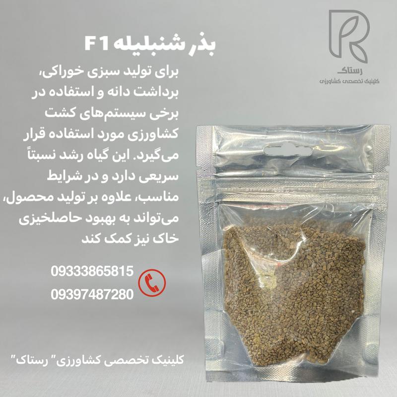 بذر شنبلیلهF1