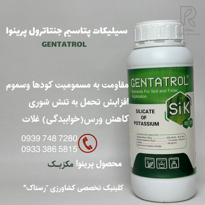  سیلیکات پتاسیم پرینوا 1 لیتری