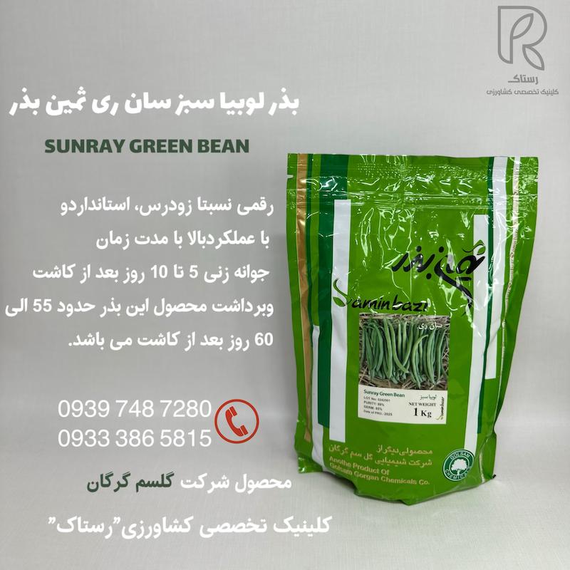 بذر لوبيا سبز سان رى ثمين بذر گل سم 1 کیلویی