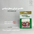اطلسى ايرانى معطر ميكس
