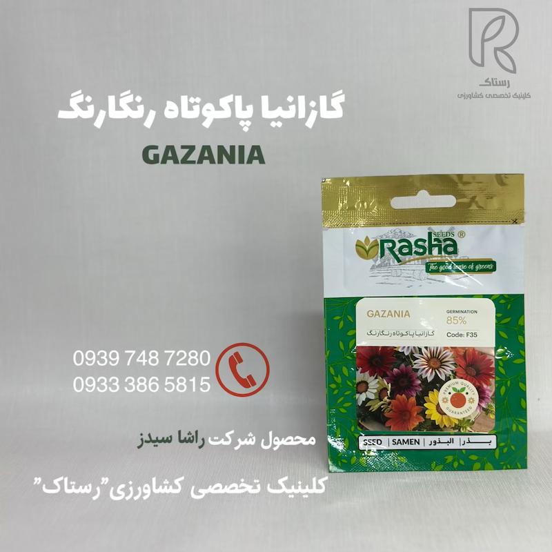 گازانیا پاکوتاه رنگارنگ