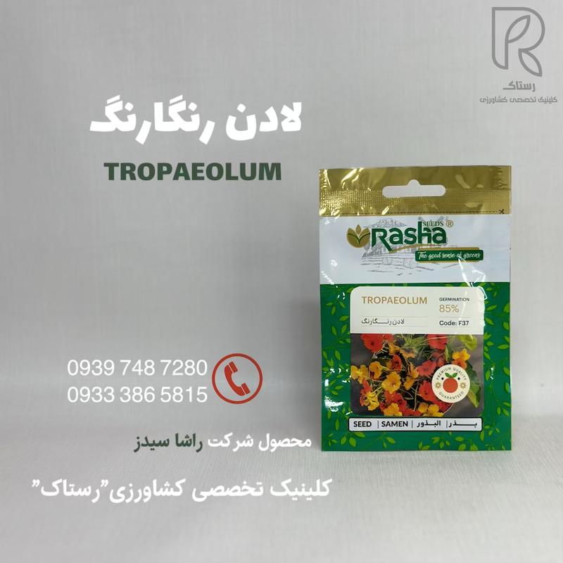 لادن رنگارنگ 