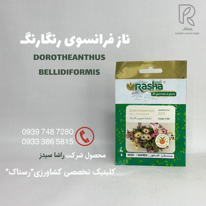 ناز فرانسوی رنگارنگ 