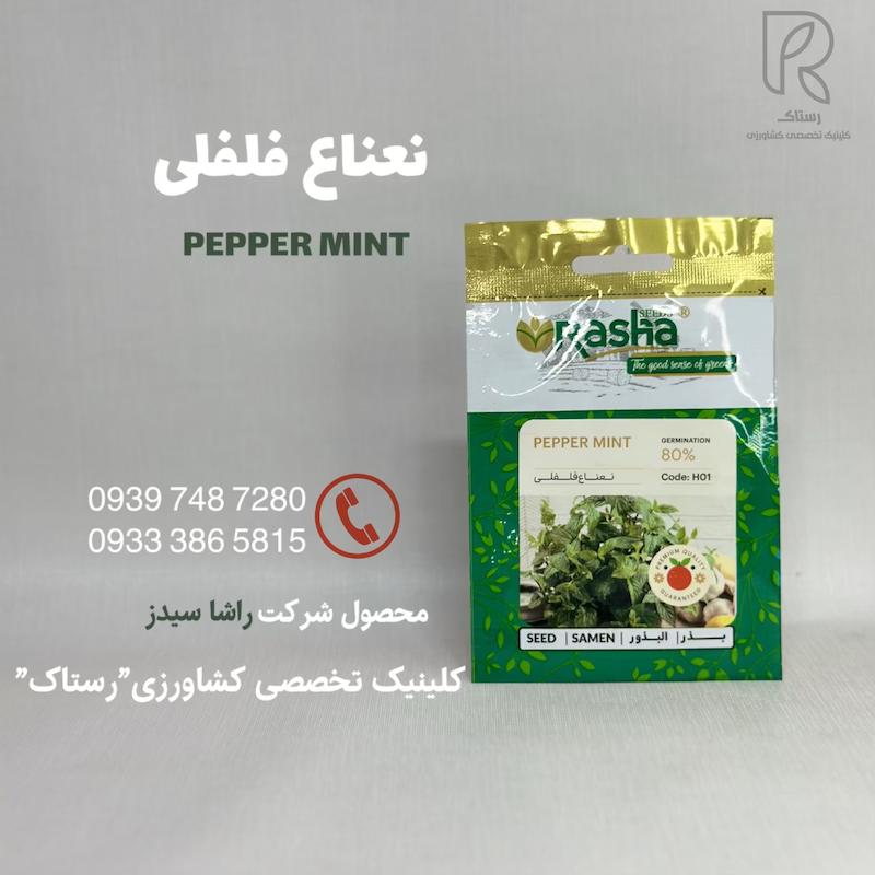 نعناع فلفلی