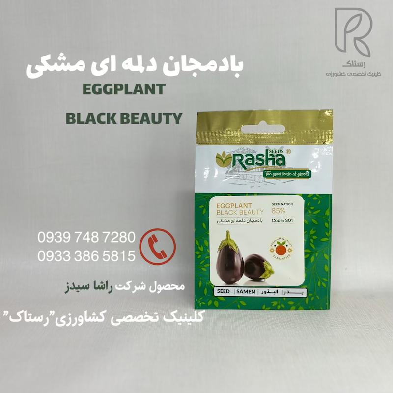 بادمجان دلمه ای مشکی