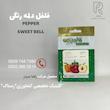 فلفل دلمه ای رنگی