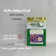 گل‌گندم پاکوتاه رنگارنگ