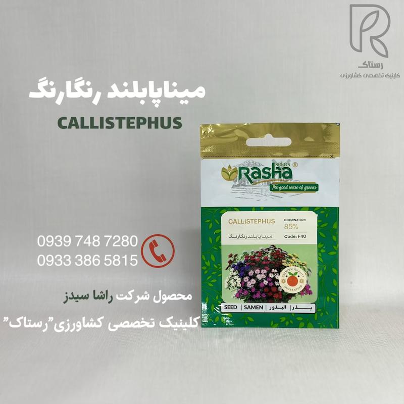 مینا پابلند رنگارنگ