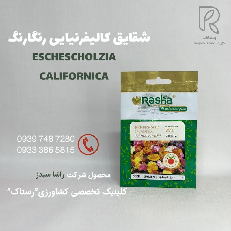 شقایق کالیفرنیایی رنگارنگ 