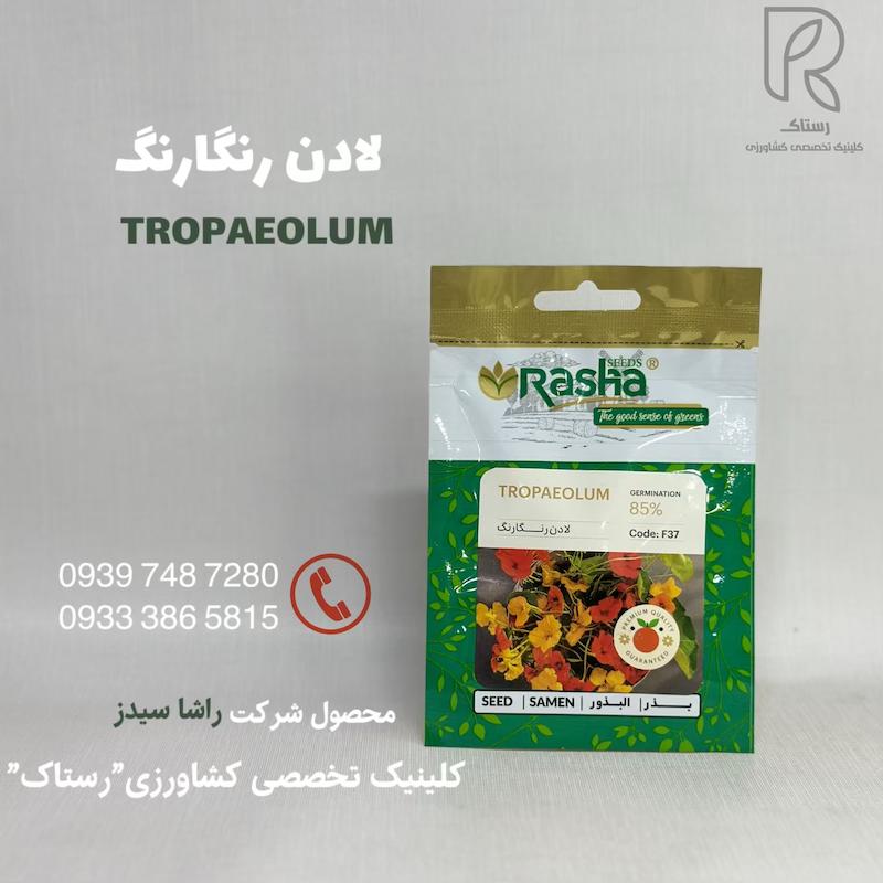 لادن رنگارنگ 