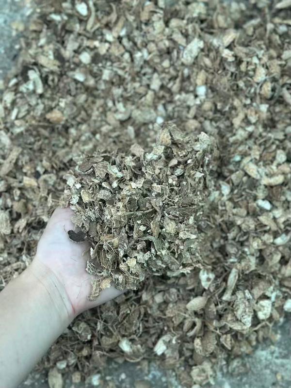 پوست بادام برای گیان زینتی و آپارتمانی