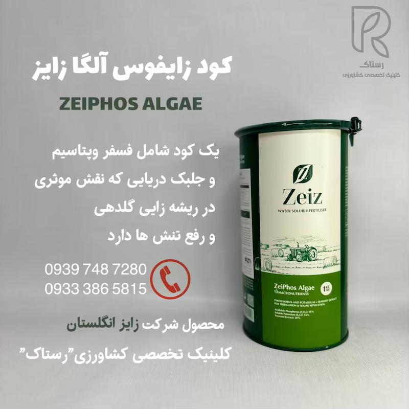 كود زايفوس آلگا زايز انگلستان 1 کیلویی