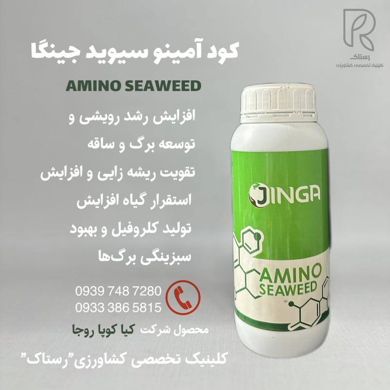 کود آمینو سیوید جینگا