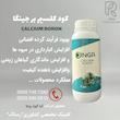 کود کلسیم بر جینگا ۱ لیتری