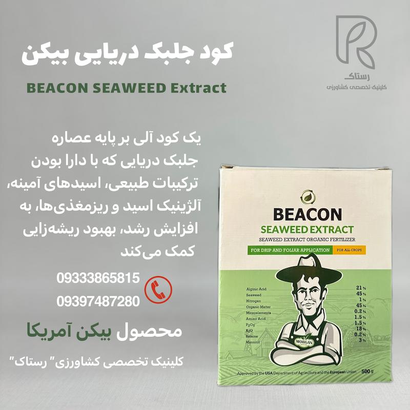 کود جلبک دریایی بیکن آمریکا 0.5کیلویی