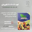 کود ۲۰-۲۰-۲۰ فلوریش1 کیلویی