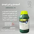 آمینواسید امینوسل پی اس لبوسل